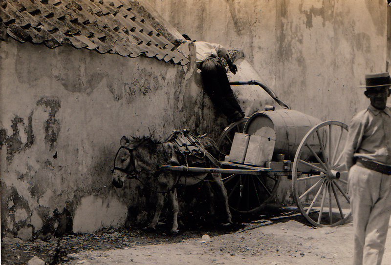 Old photo of two men and a mule.
