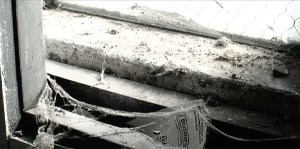 Photo pf cobwebs in a window